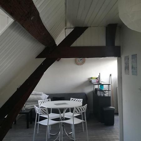 Appartement Spacieux Vue Sur Loire Proche Du Centre Blois Dış mekan fotoğraf