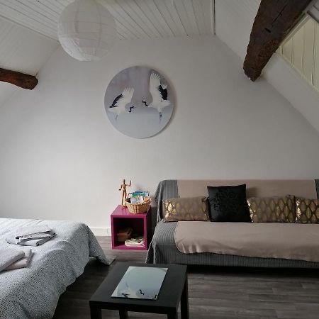 Appartement Spacieux Vue Sur Loire Proche Du Centre Blois Dış mekan fotoğraf