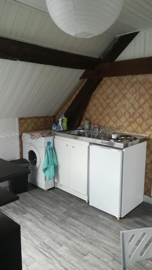 Appartement Spacieux Vue Sur Loire Proche Du Centre Blois Dış mekan fotoğraf