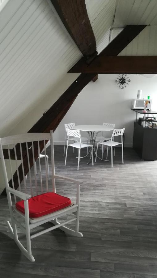 Appartement Spacieux Vue Sur Loire Proche Du Centre Blois Dış mekan fotoğraf