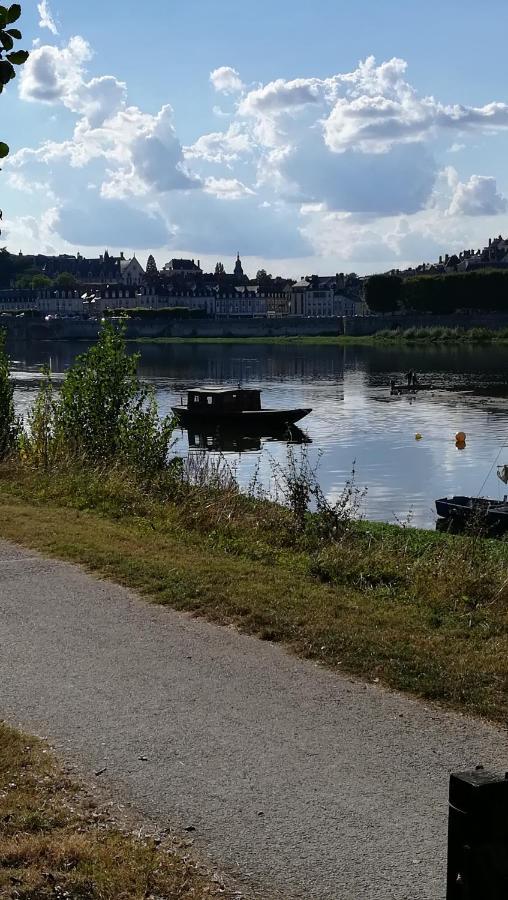 Appartement Spacieux Vue Sur Loire Proche Du Centre Blois Dış mekan fotoğraf
