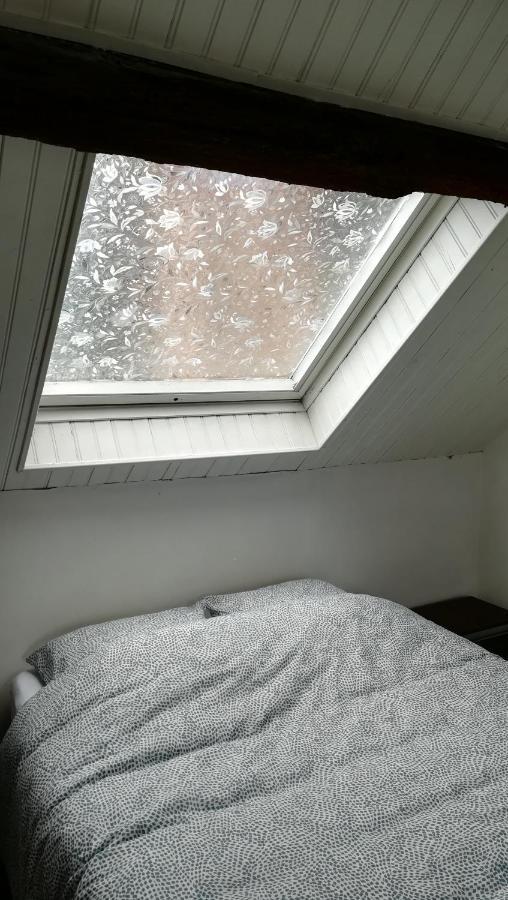 Appartement Spacieux Vue Sur Loire Proche Du Centre Blois Dış mekan fotoğraf