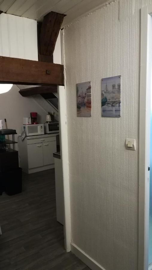 Appartement Spacieux Vue Sur Loire Proche Du Centre Blois Dış mekan fotoğraf