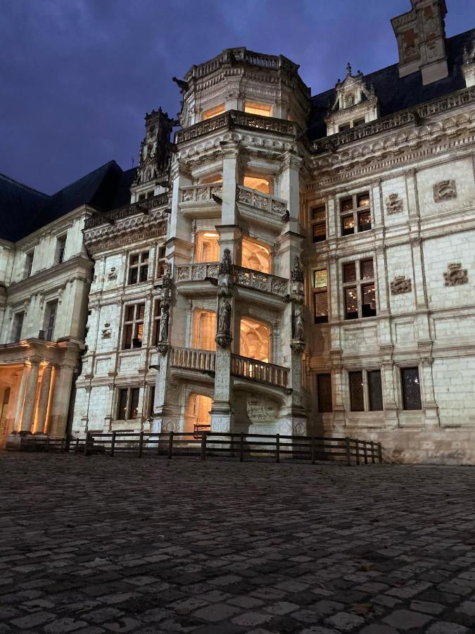 Appartement Spacieux Vue Sur Loire Proche Du Centre Blois Dış mekan fotoğraf