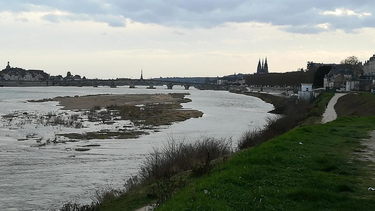 Appartement Spacieux Vue Sur Loire Proche Du Centre Blois Dış mekan fotoğraf